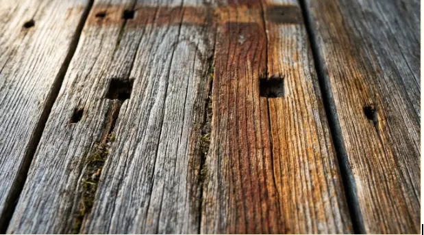 Reclaimed Wood Wall Decor